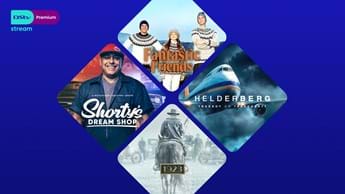 What to stream on DStv Premium May 2025