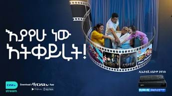 Enjoy DStv this Festive Season 