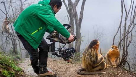 Perfect Planet The Sun 02 043 Making Of