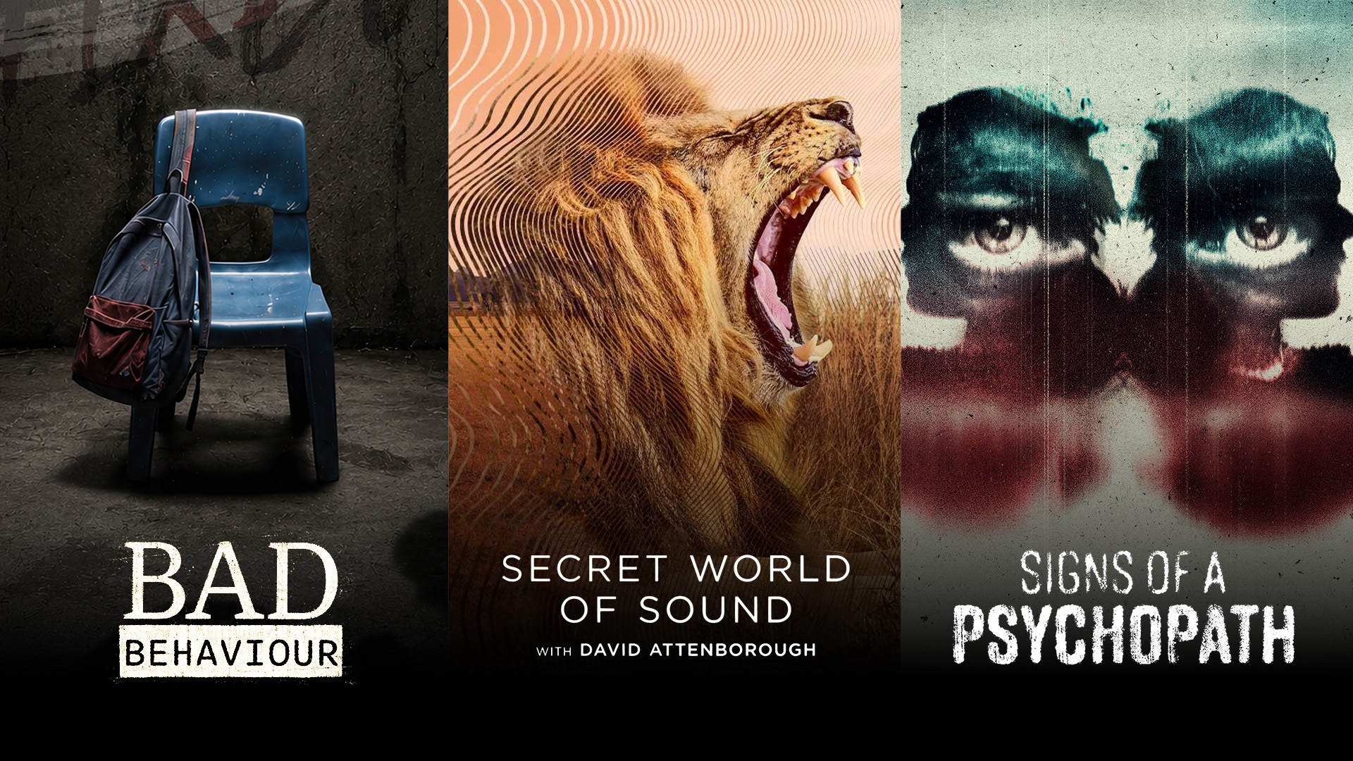 What to watch on DStv Premium in September 2026