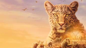 From Serengeti to outer space on DStv, 12-18 November  