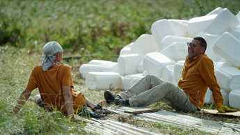 There’s a new Alpha Male on Die Brug