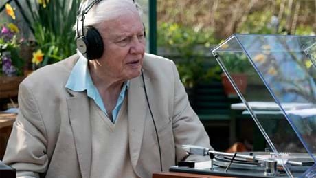 Watch Attenborough's Wonder of Song on Sunday, 27 March on BBC Earth (DStv Channel 184) at 16:10