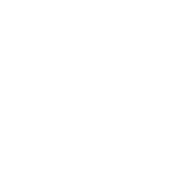 307 Nick Jr Light