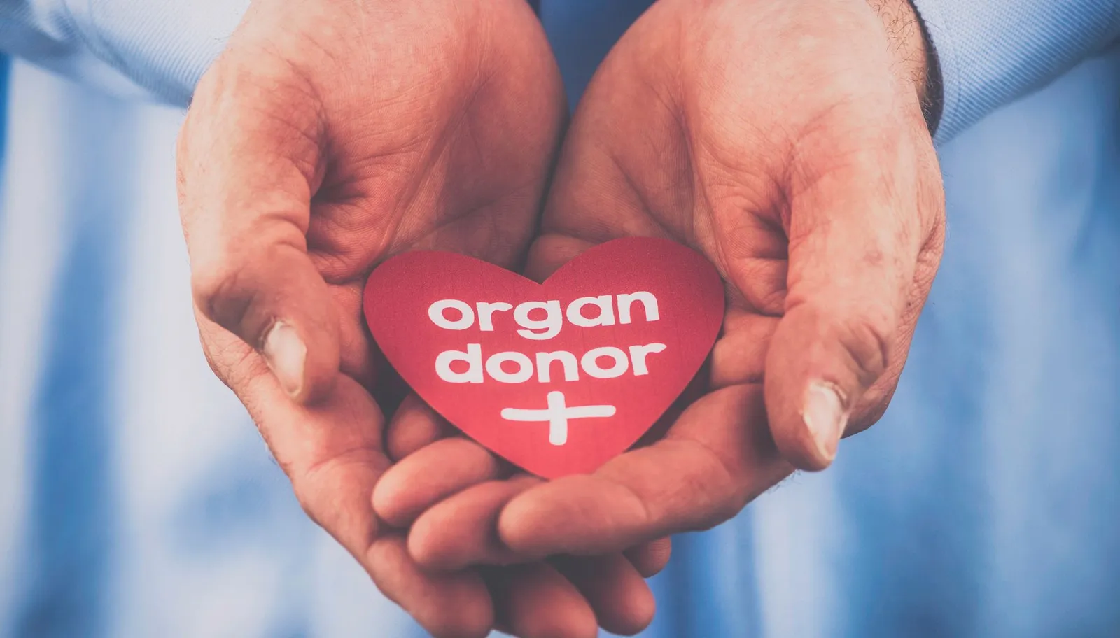 How to Become an Organ Donor