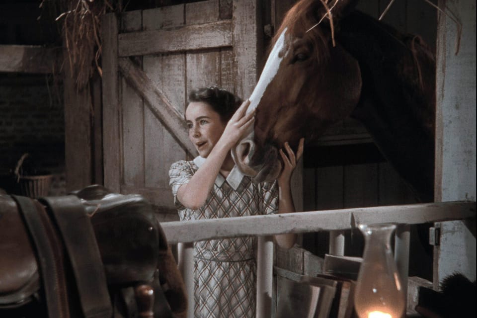 A Girl And Her Glorious Horse – King & Conqueror5 (1)