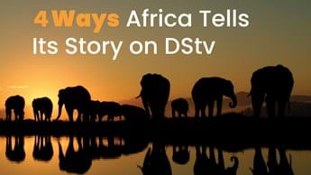 4 Ways DStv Tells Africa’s Story – Loud, Proud and Unfiltered