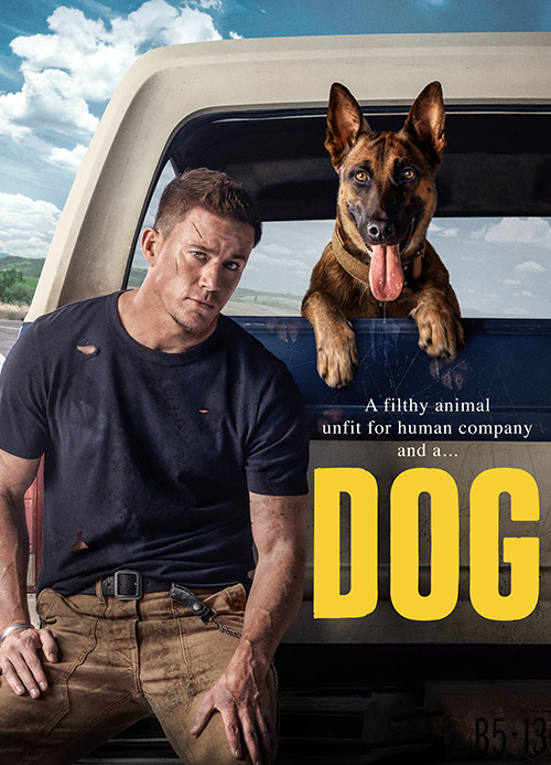 Dog