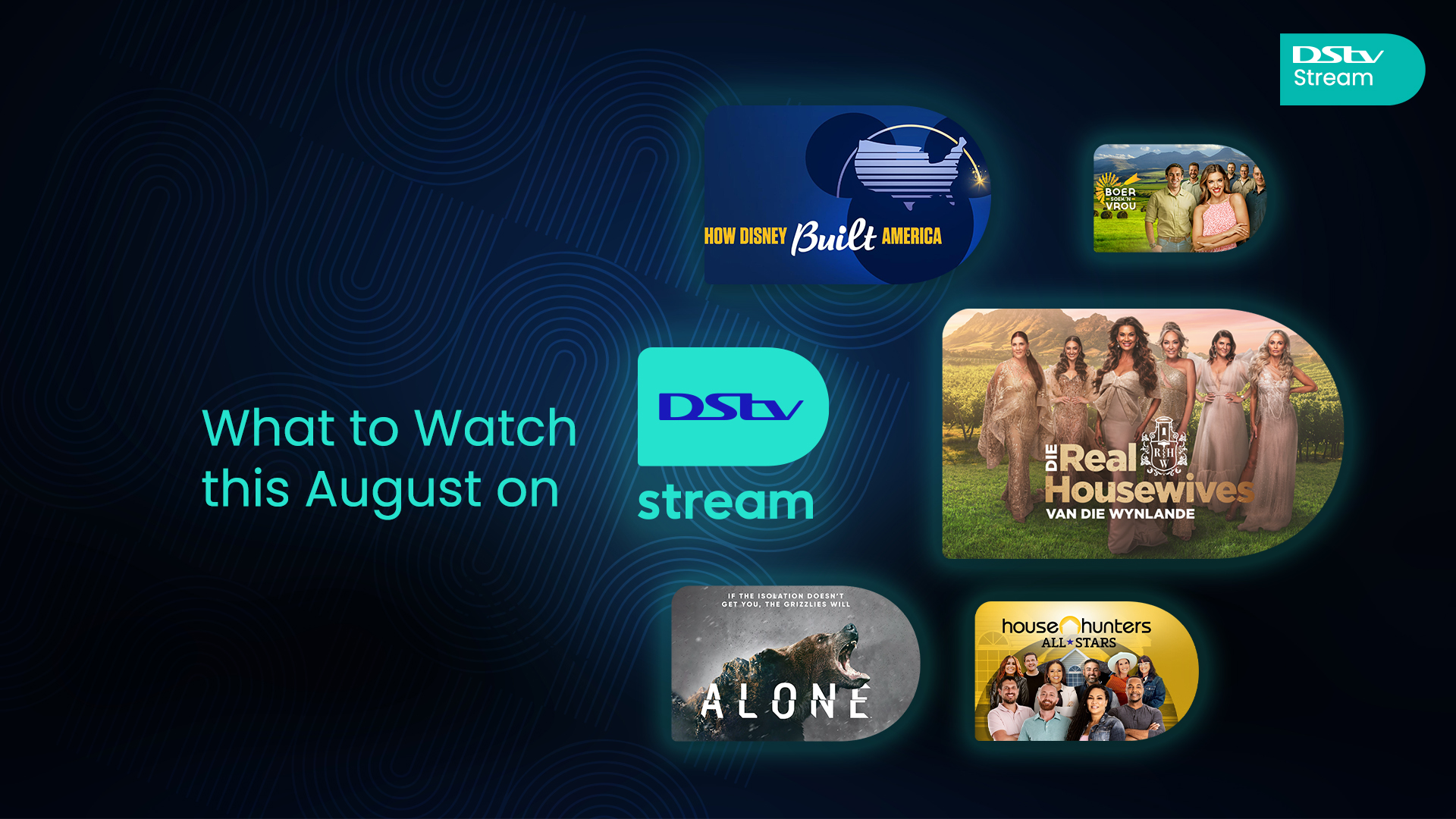 What to stream this August on DStv Compact Plus 2024