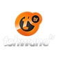 262 Tshwane TV