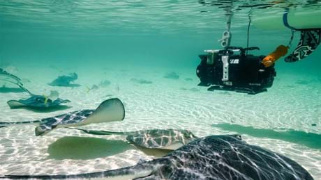 Perfect Planet Oceans 04 049 Making Of