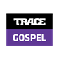 332 TRACE Gospel