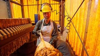 A Day in the dirt with Mike Rowe