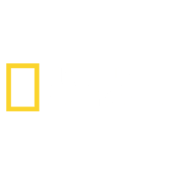 181 National Geographic Channel Light