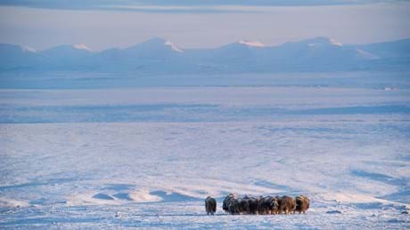 Perfect Planet The Sun 02 002