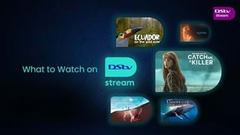 What to stream this July on DStv Premium 2024
