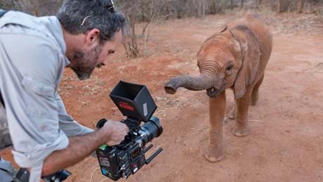 Perfect Planet Team Bts 005