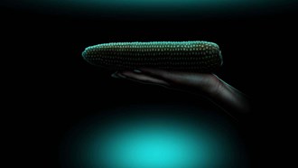 Rian van Heerden gets into bed with Afrikaans sexuality