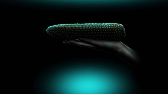 Rian van Heerden gets into bed with Afrikaans sexuality