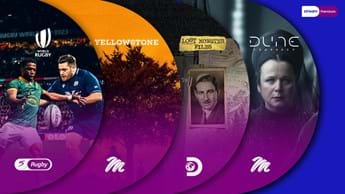  What to stream this November on DStv Premium 2024