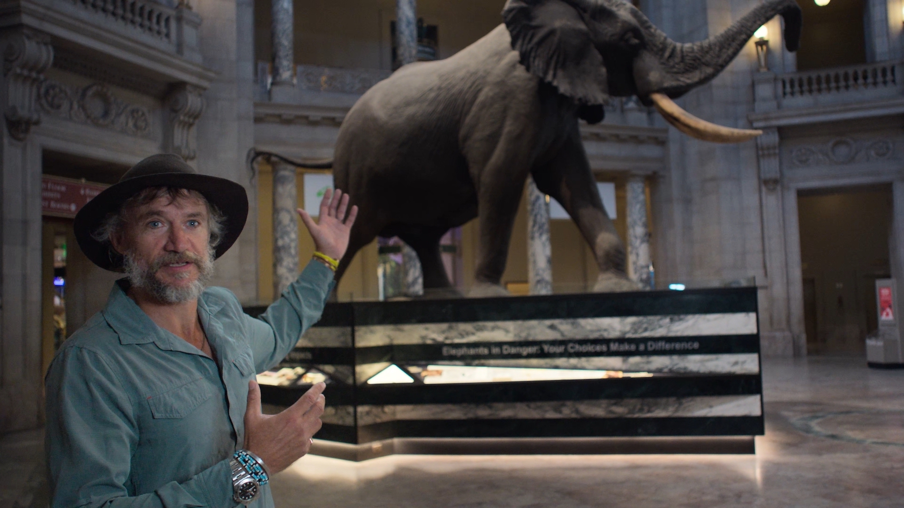 DStv is wild about nature this March