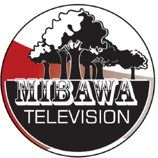 298 Mibawa TV