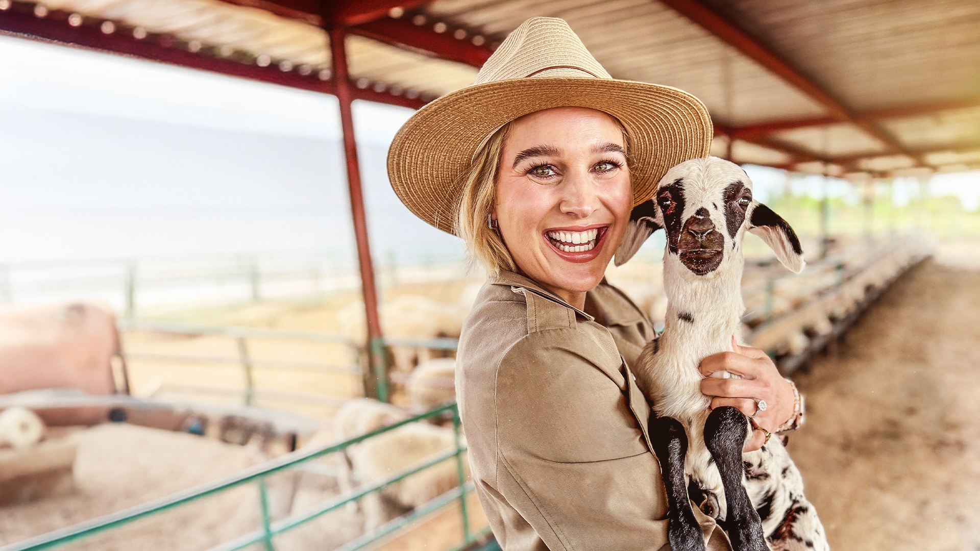 Die soektog na Suid-Afrika se beste lam: Lamb Champs keer terug na kykNET 