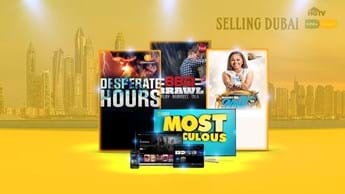 DStv Compact February 2024 Highlights 