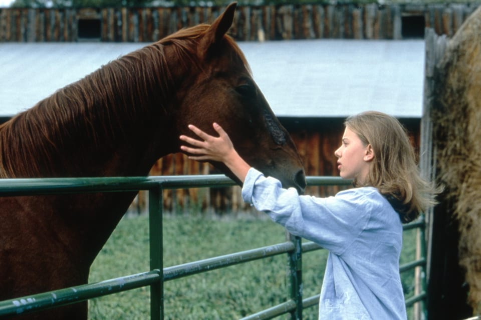 A Girl And Her Glorious Horse – King & Conqueror6