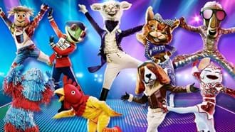 The costumes disguising The Masked Dancers