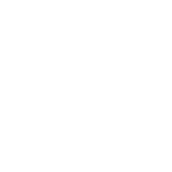 411 Bloomberg Light